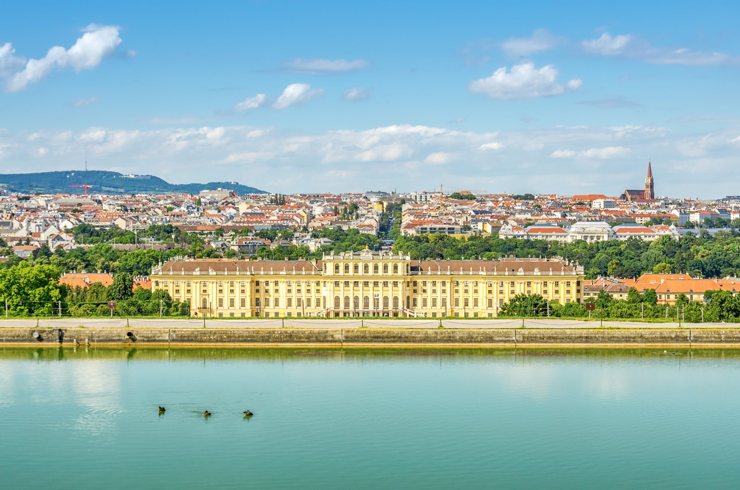 Viena